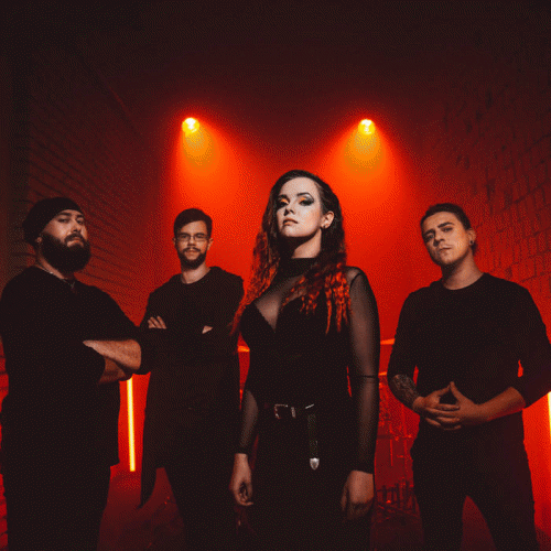 Stellvris : Find Your Course